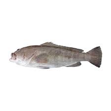 Kaboria Seafood